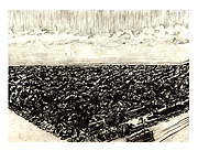 temple grounds salt lake city ut