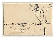 desert joshua tree right foreground