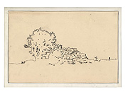 desert rocks and joshua tree left