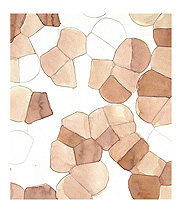 fragment powers of chief 1