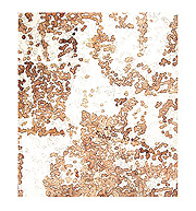 fragment powers of chief 3